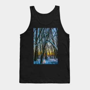 Winter landscape - frosty trees in snowy forest in the sunny morning. Tranquil winter nature in sunlight Tank Top